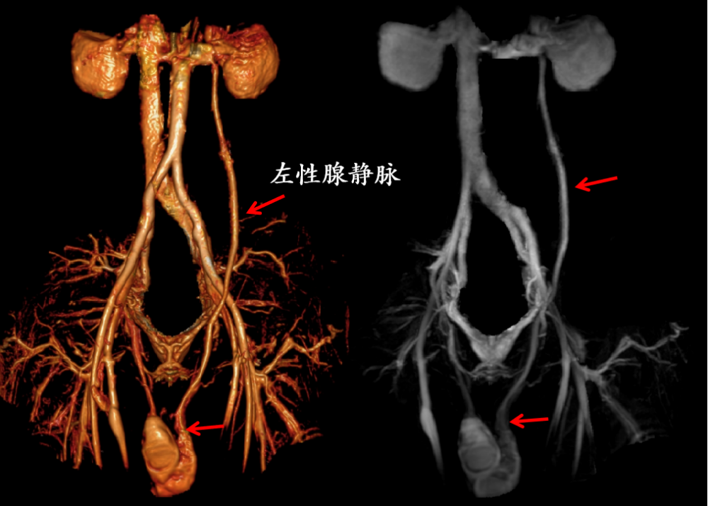 图片13.png